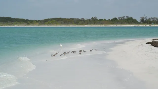 Fort De Soto Park