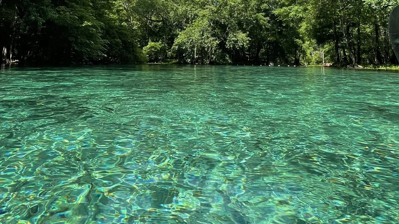 Gilchrist Blue Springs State Park