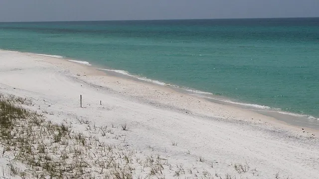 Grayton Beach State Park
