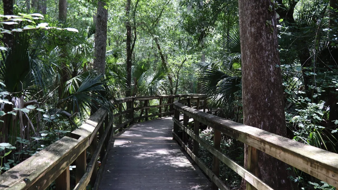 Highlands Hammock State Park