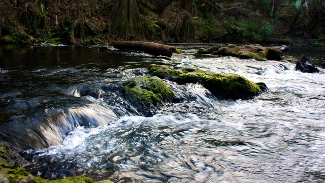 Hillsborough River State Park
