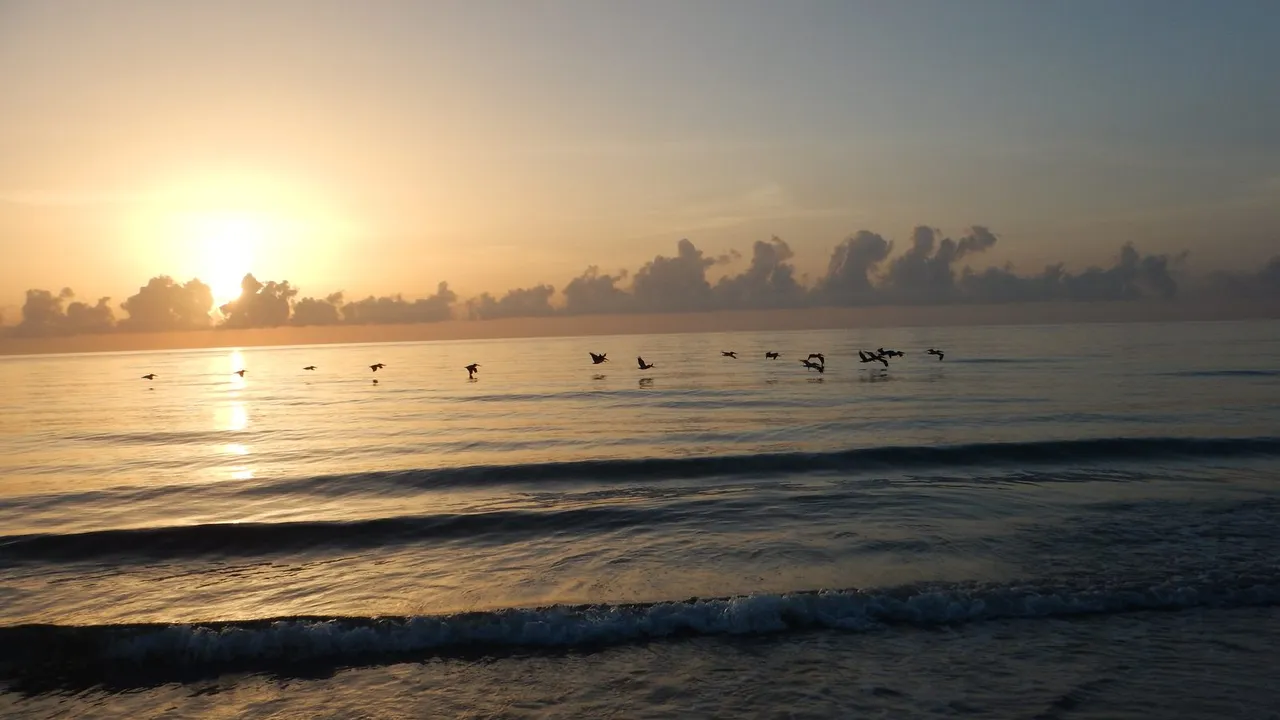 Hobe Sound National Wildlife Refuge