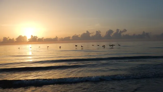 Hobe Sound National Wildlife Refuge
