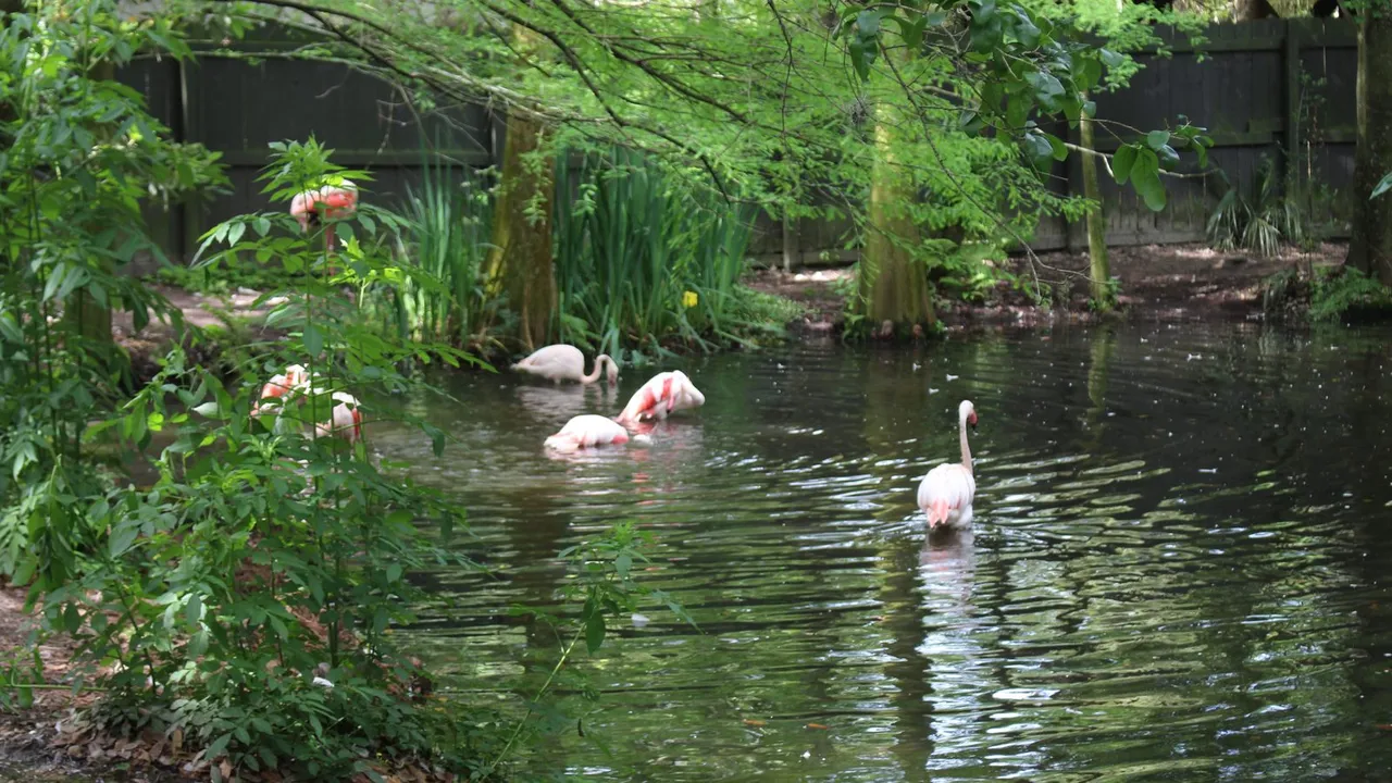 Jacksonville Zoo and Gardens