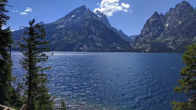 Jenny Lake