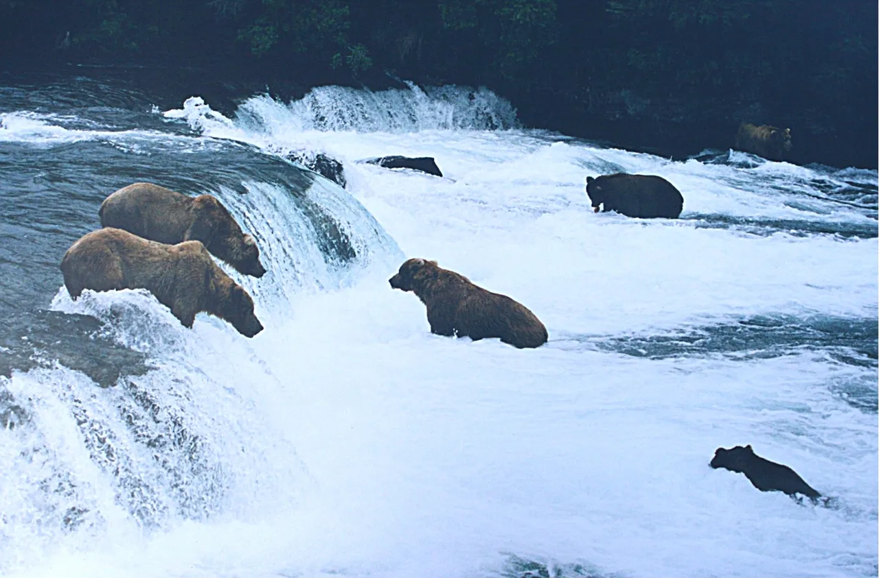 Katmai National Park