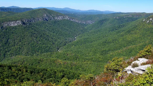 Linville Gorge Wilderness