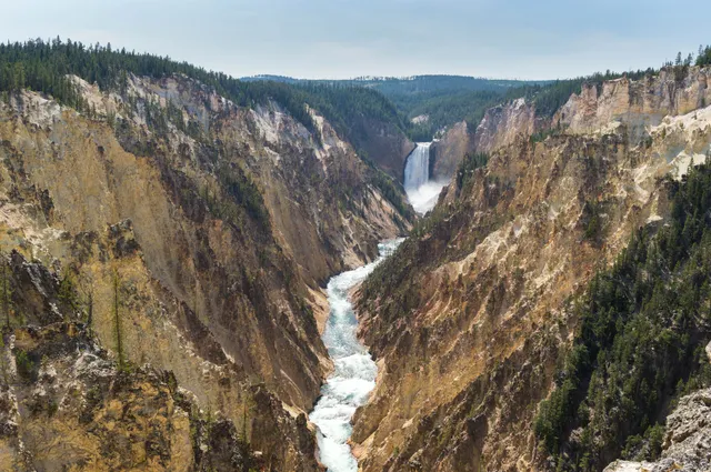 Lower Yellowstone Falls