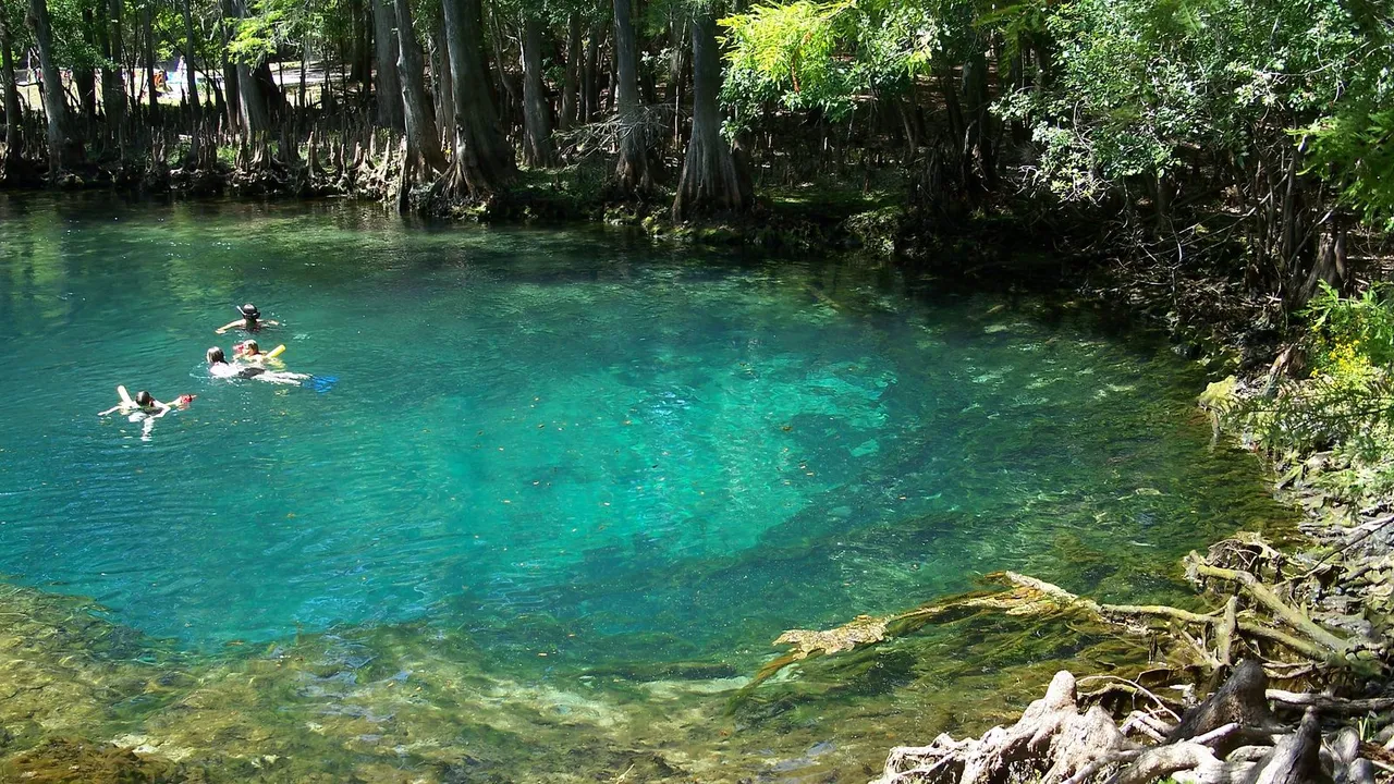 Manatee Springs State Park