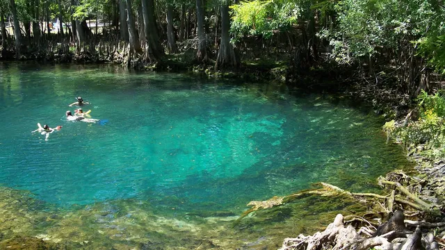 Manatee Springs State Park
