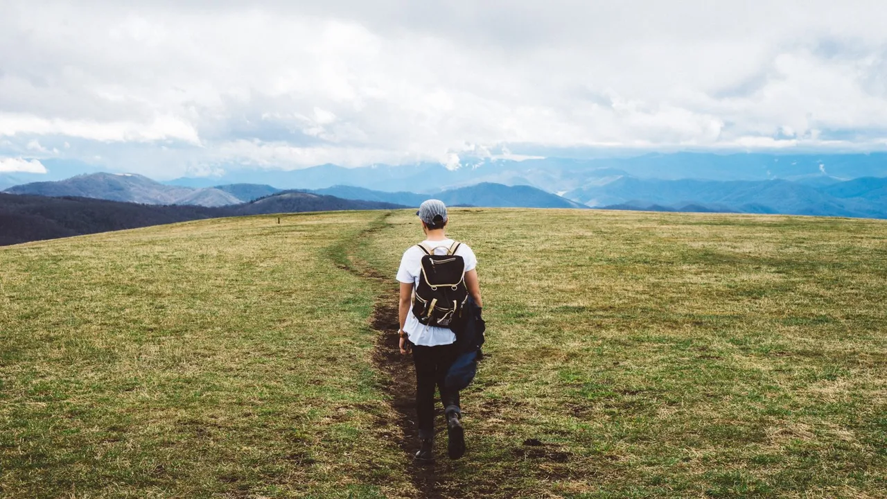 Max Patch