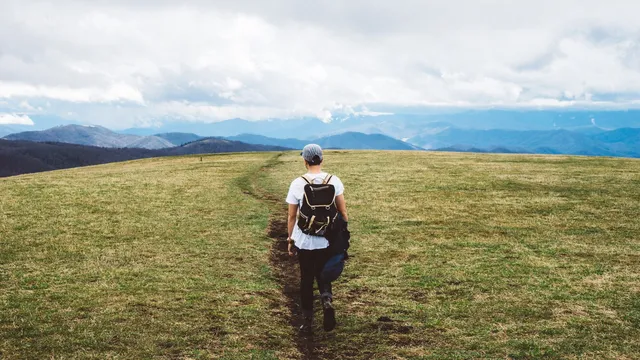Max Patch
