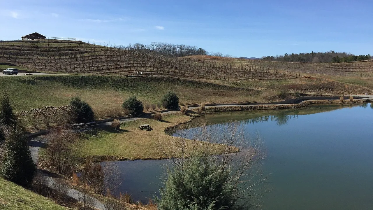 Mercier Orchards