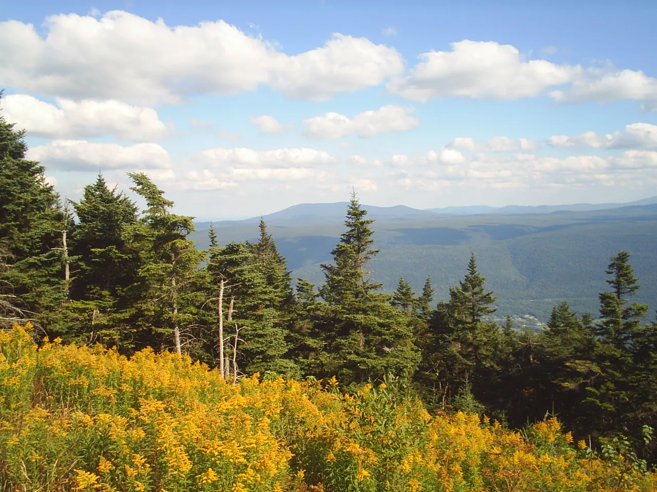Mount Equinox