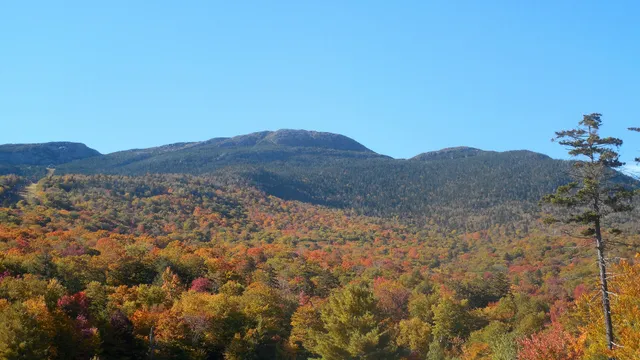 Best of Vermont