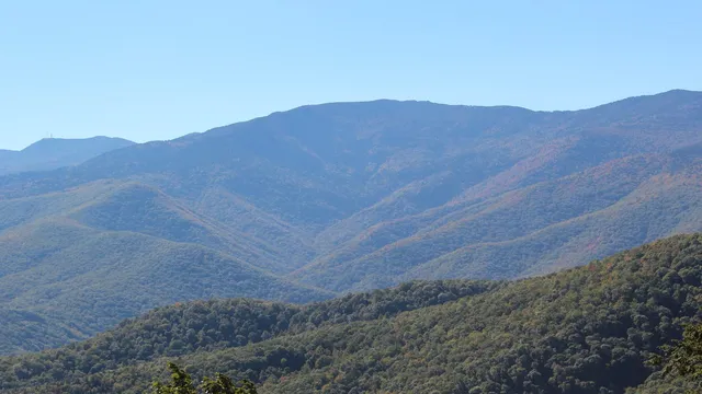 Mount Mitchell State Park