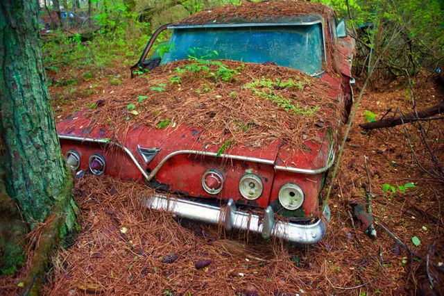Offbeat North Georgia
