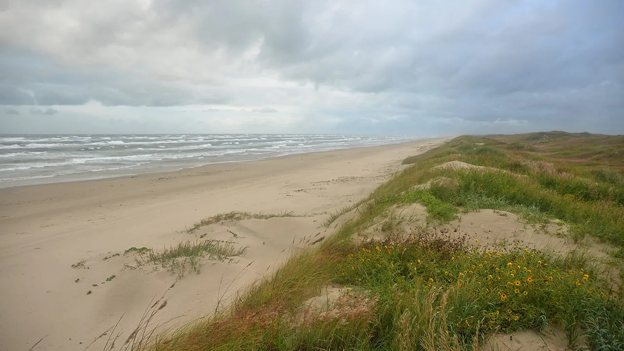 Padre Island National Seashore