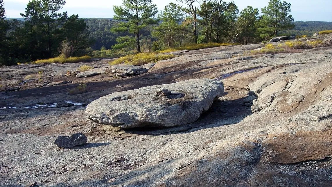 Panola Mountain State Park