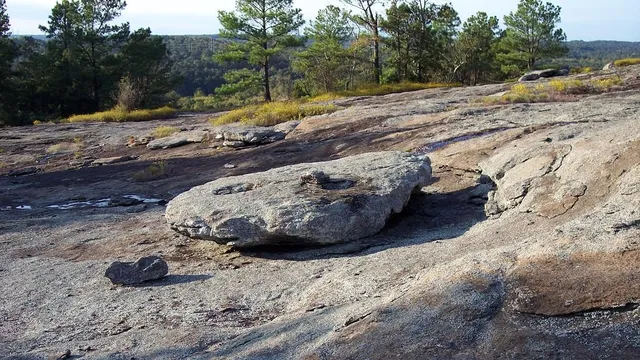 Panola Mountain State Park