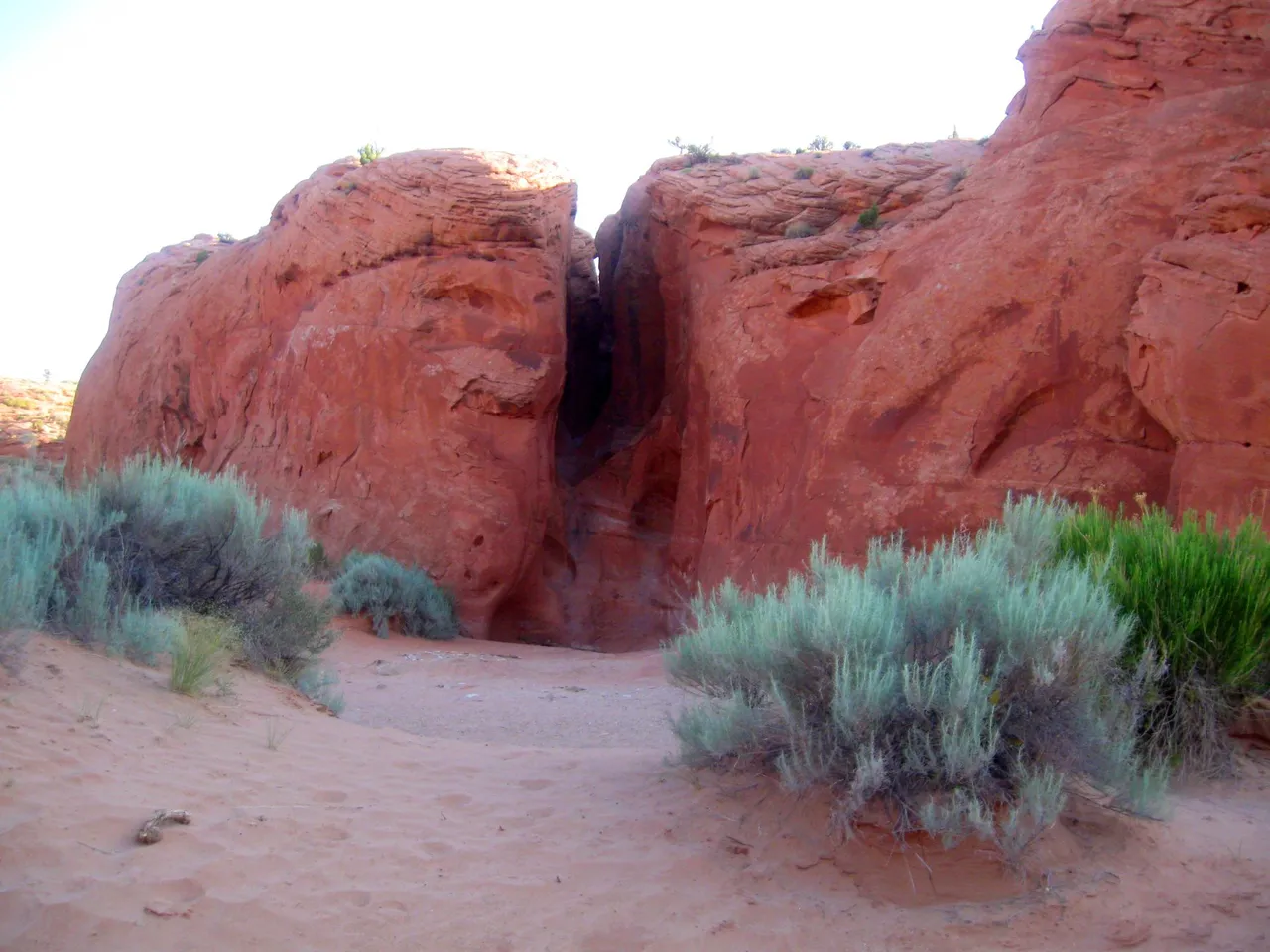 Peek-a-boo and Spooky Gulch