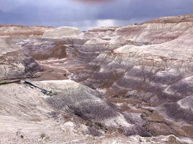 Petrified Forest National Park