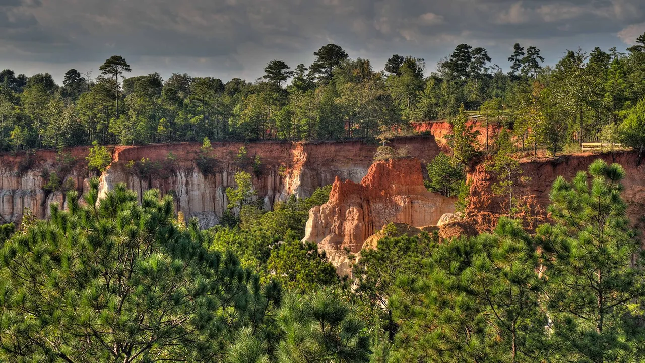 Georgia State Parks