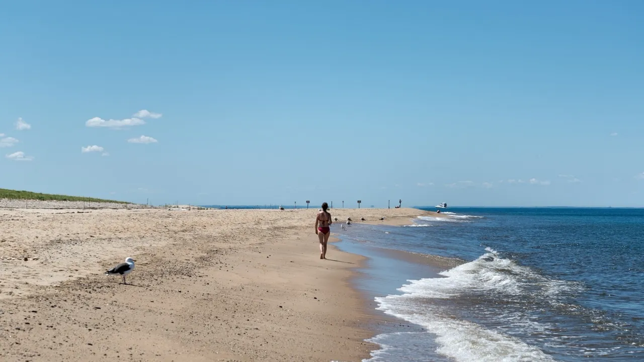 Race Point Beach