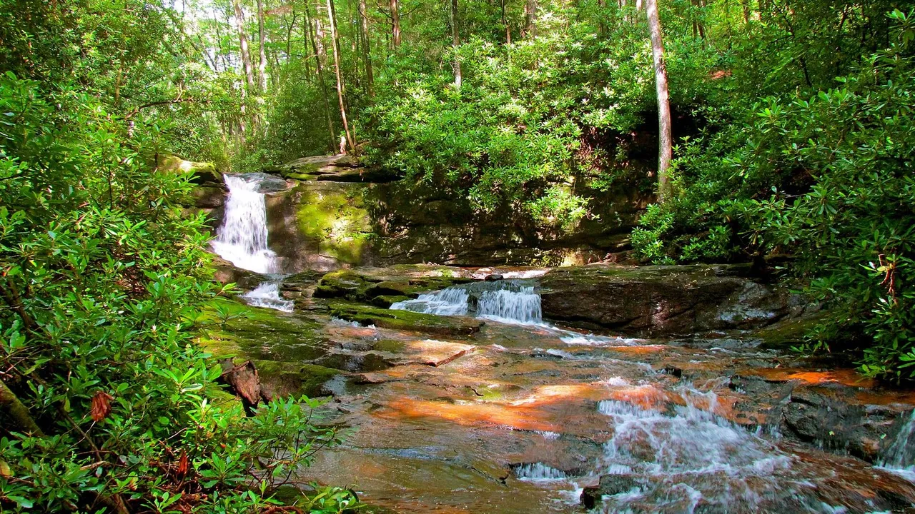 Raven Cliff Falls