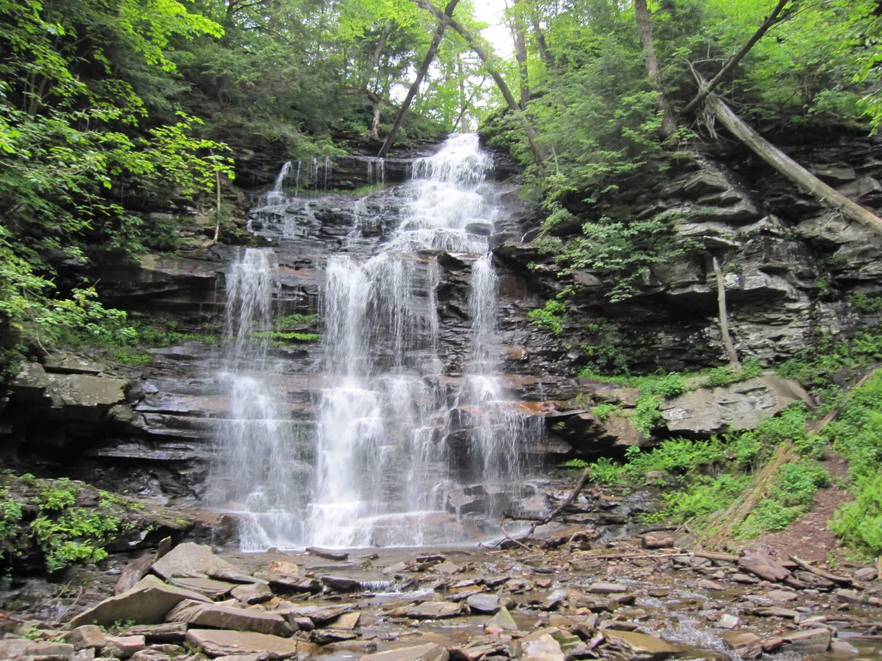 Ricketts Glen State Park (Falls Trail)