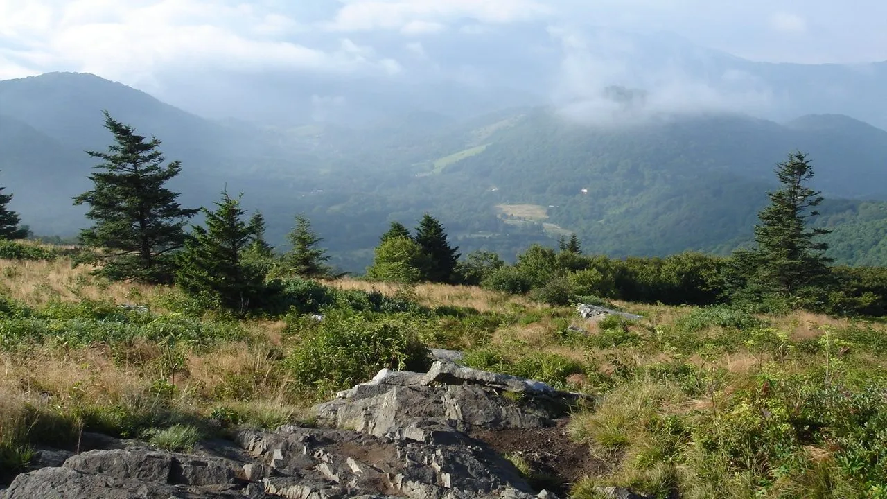 Roan Mountain