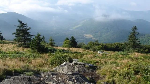 Roan Mountain