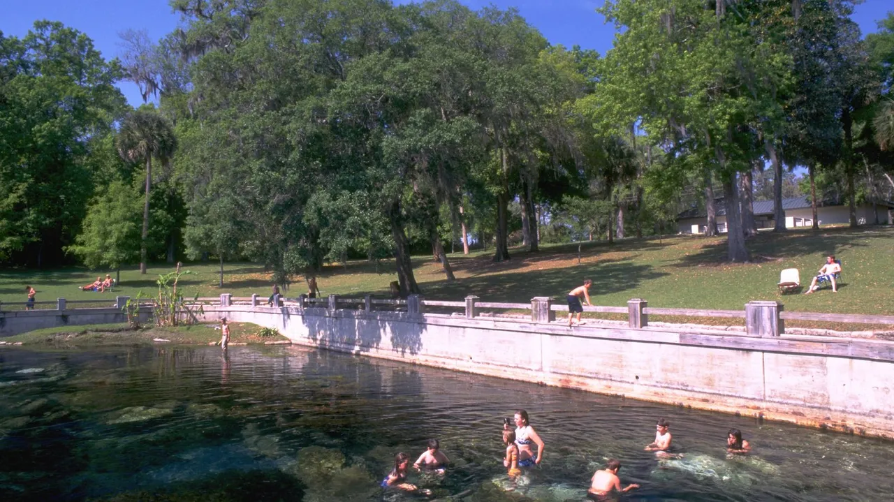 Salt Springs Recreation Area