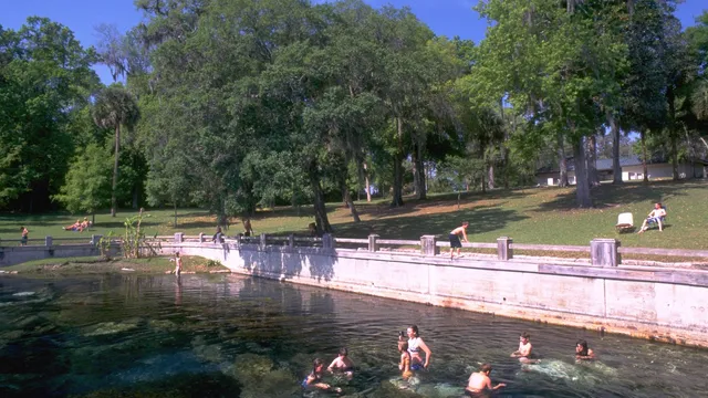 Salt Springs Recreation Area