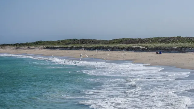 Sebastian Inlet State Park
