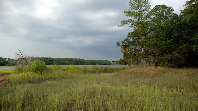 Skidaway Island State Park