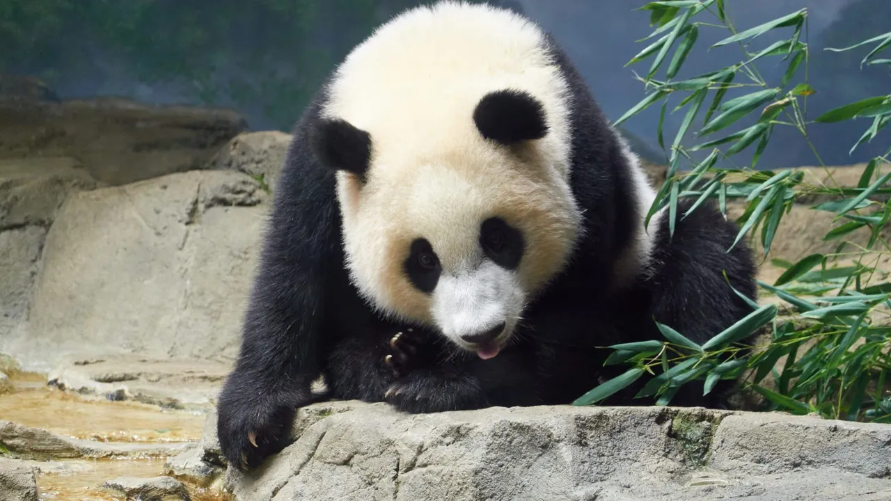Smithsonian National Zoo