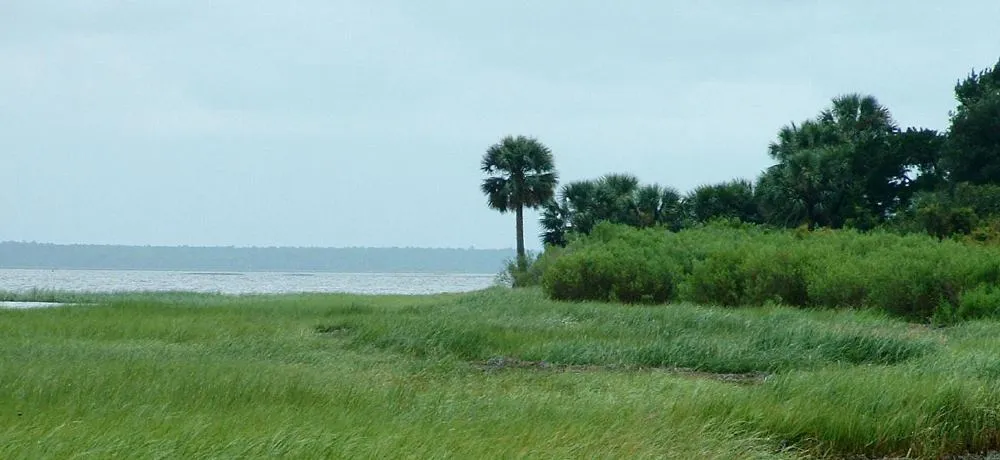 St. Marks National Wildlife Refuge