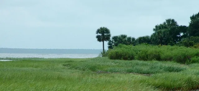 St. Marks National Wildlife Refuge