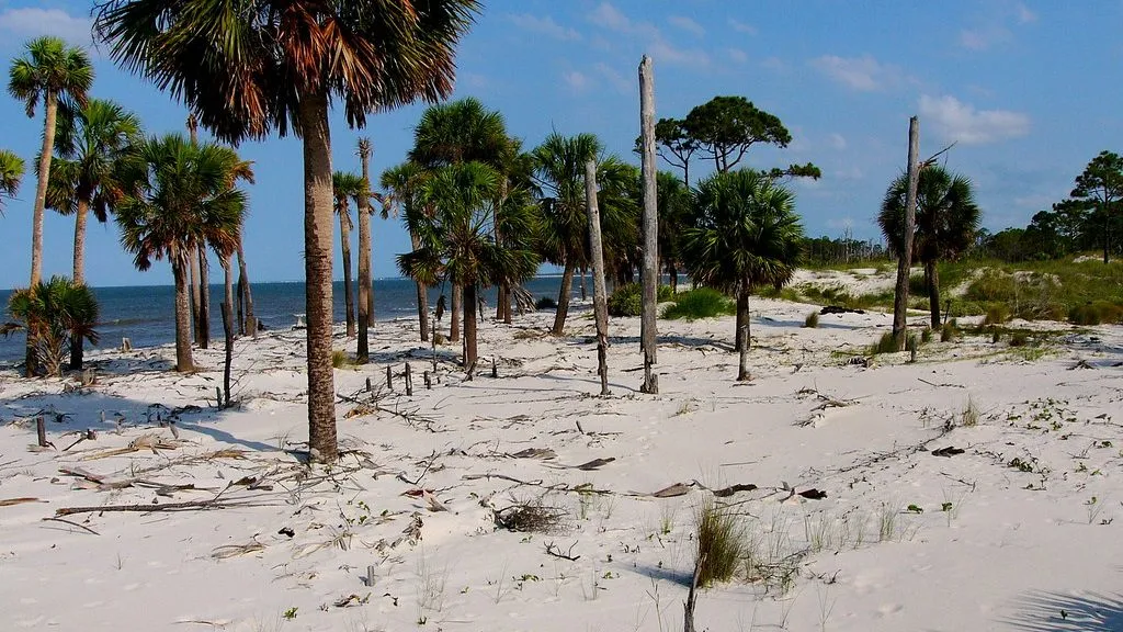 St. Vincent Island (National Wildlife Refuge)