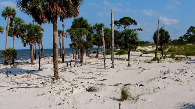 St. Vincent Island (National Wildlife Refuge)