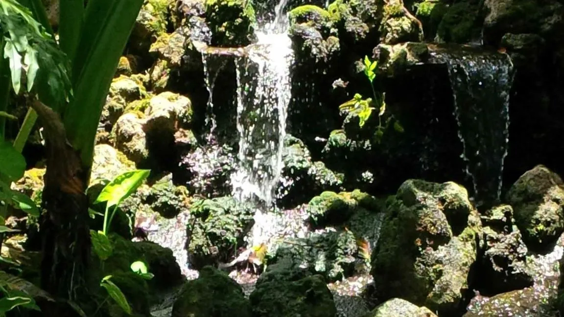 Sunken Gardens