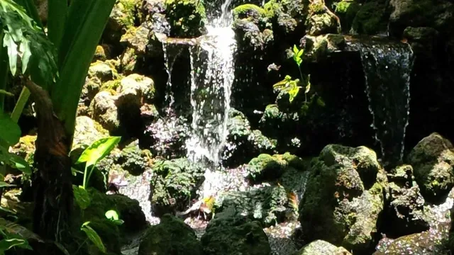 Sunken Gardens