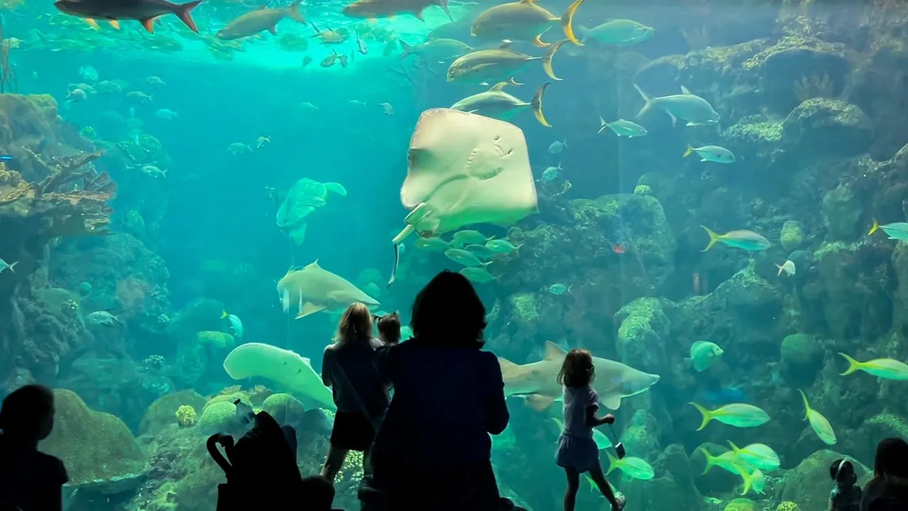 The Florida Aquarium