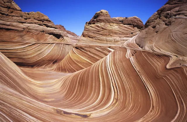 The Wave (Coyote Buttes North)