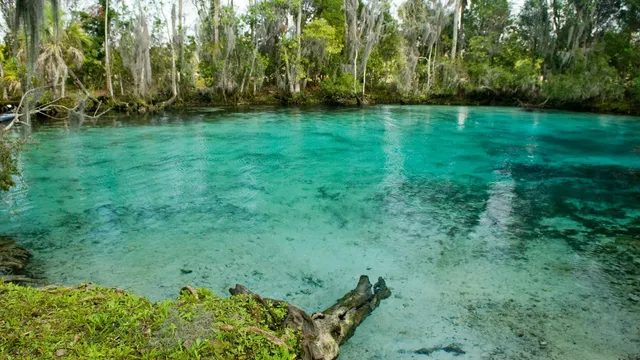 Three Sisters Springs