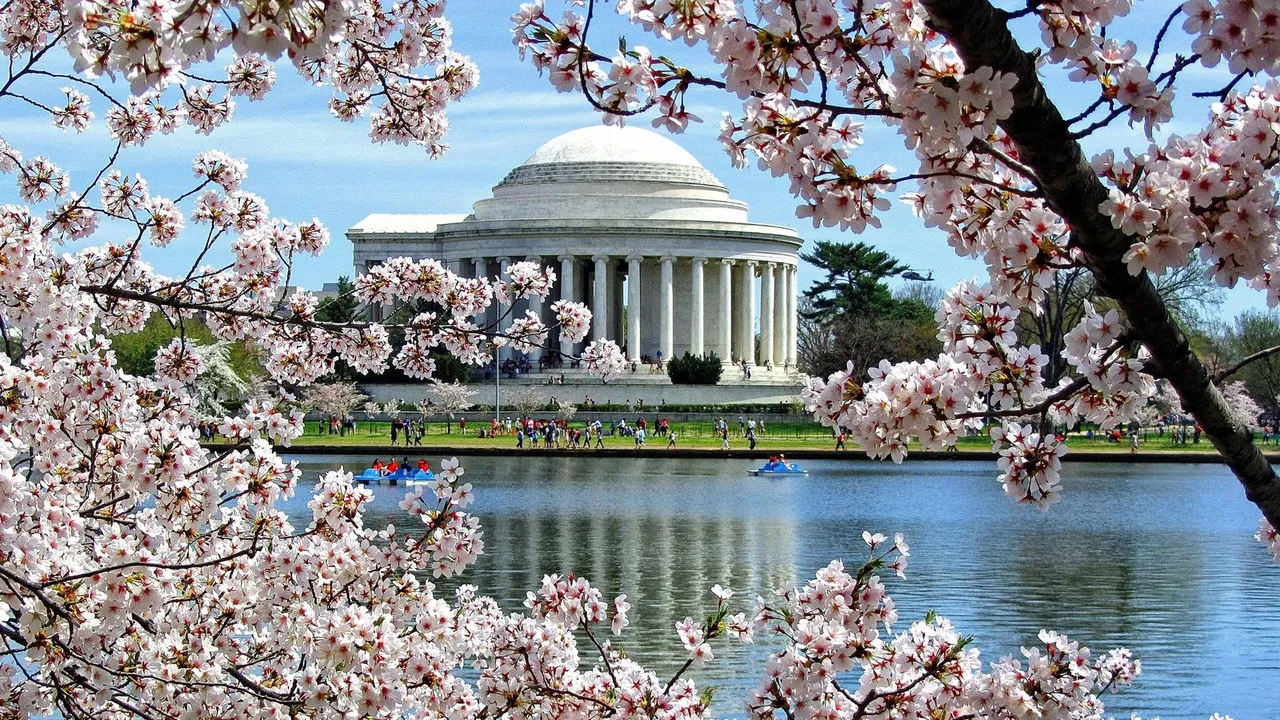 Tidal Basin
