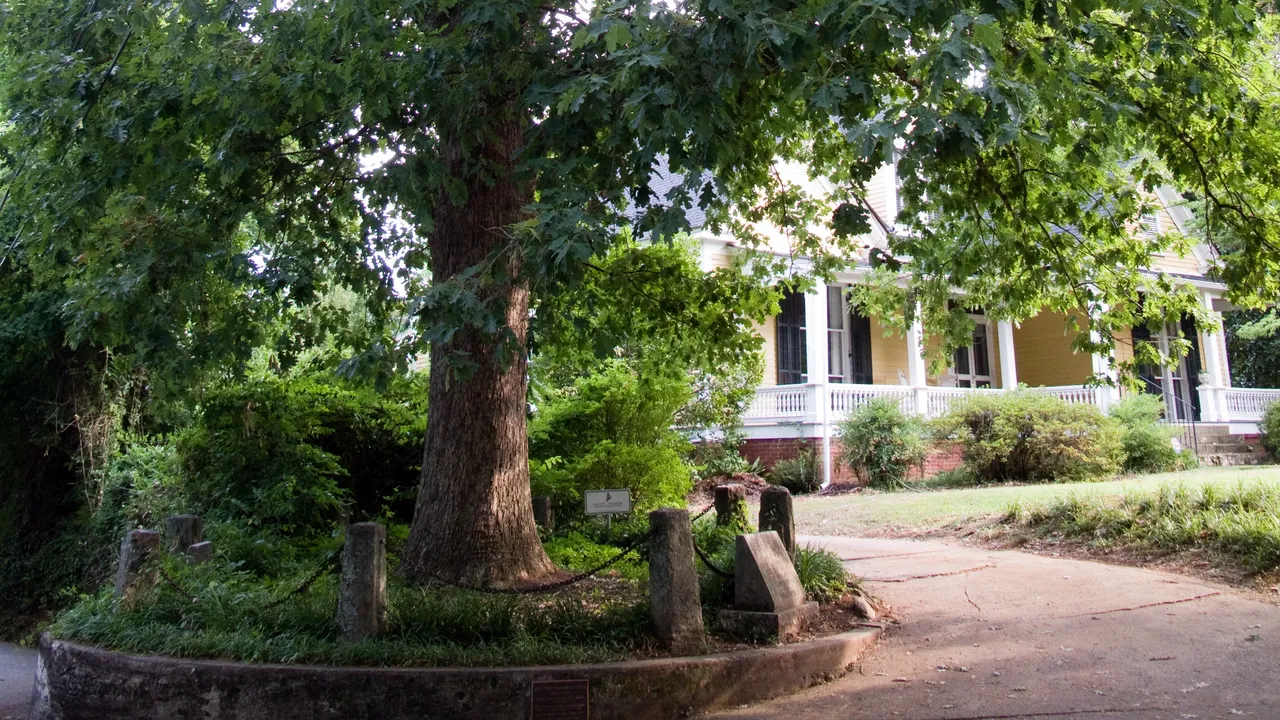 The Tree That Owns Itself