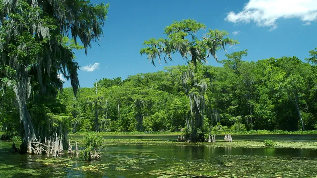 Edward Ball Wakulla Springs State Park