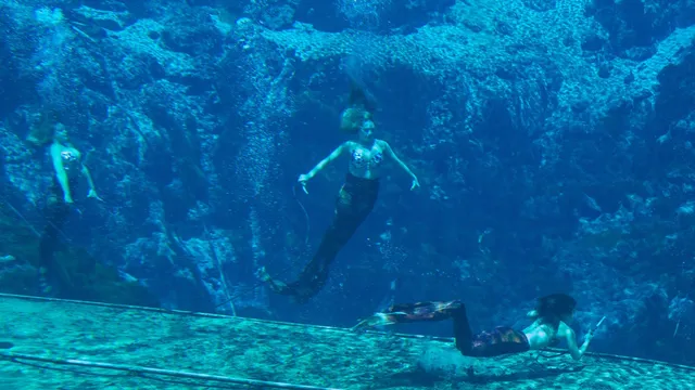 Weeki Wachee Springs State Park